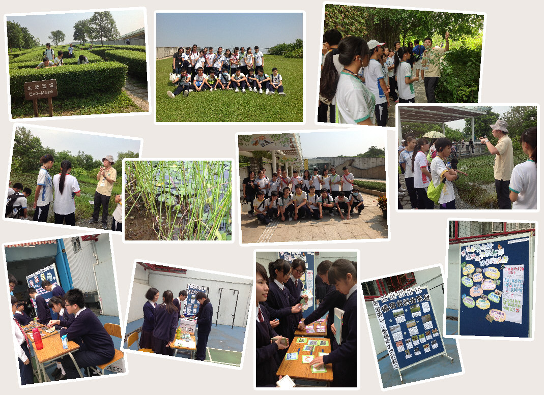 wetland 1314 (1)